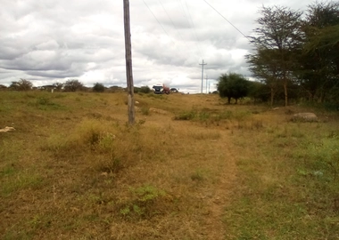 13 Acres of Land For Sale in Ngatataek
