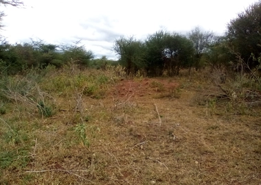13 Acres of Land For Sale in Ngatataek
