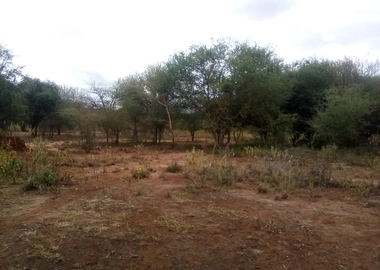 13 Acres of Land For Sale in Ngatataek