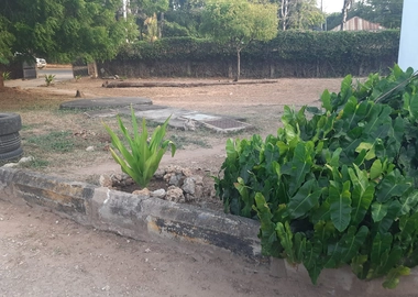 Half Acre for Sale in Nyali