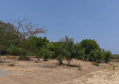 1/4 and 1/2 Acre Plots for Sale in Vipingo Kuruwitu