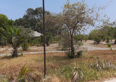 1/4 and 1/2 Acre Plots for Sale in Vipingo Kuruwitu