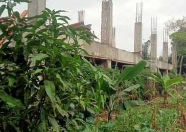 100 by 100 Plot for Sale at Kiamumbi