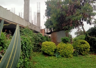 100 by 100 Plot for Sale at Kiamumbi