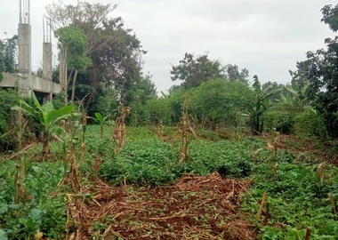 100 by 100 Plot for Sale at Kiamumbi