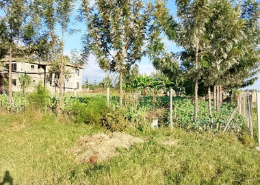 40 by 150 Plot for Sale at Mwihoko