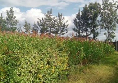 4bdrm Maisonette in Githurai for sale