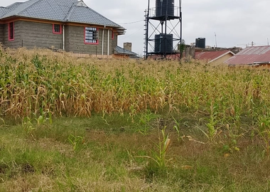 50*100 Plot for Sale in Mwihoko