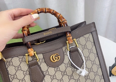 Gucci handbag