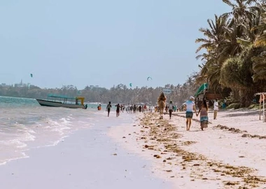 Tours & travel
