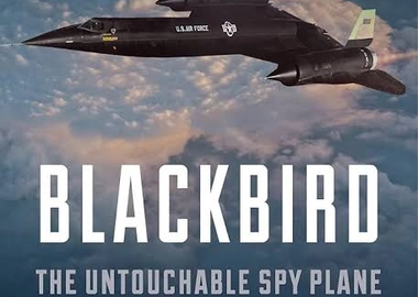 Black bird look heed