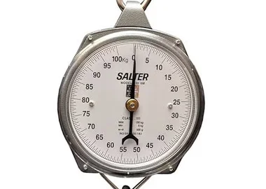 Salter hanging scale