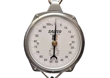 Salter hanging scale