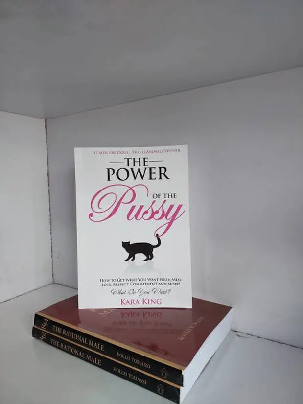 Novel