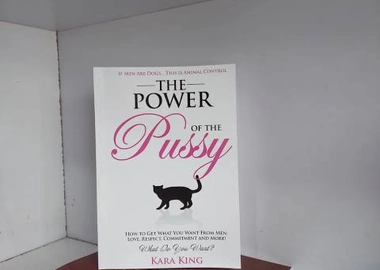 Novel
