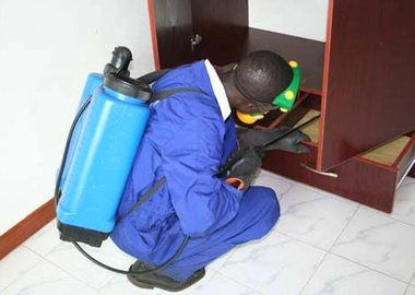 Pest control and fumigation