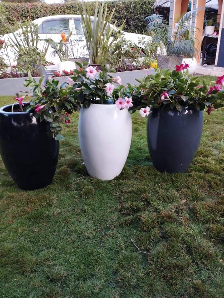 fibreglass flower pots