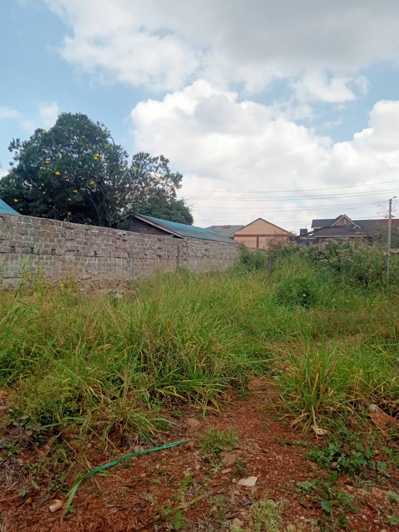 40 by 80 Plot at Lumumba Drive Roysambu