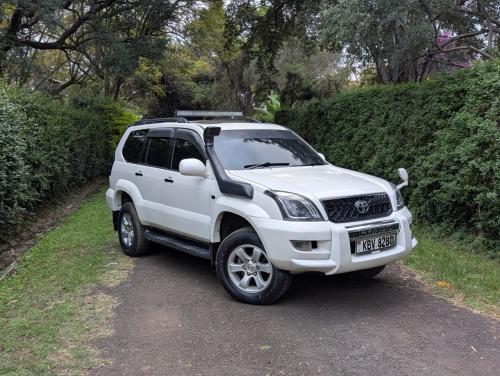 2007 landcruiser prado