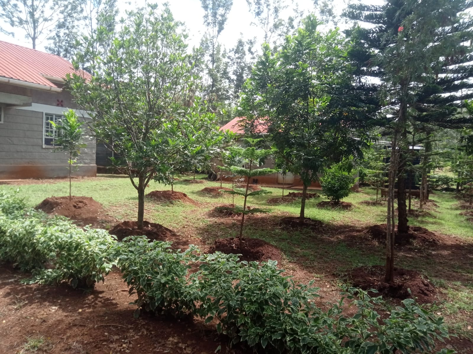 3bdrm Bungalow in Maguguni, Nairobi Central for sale