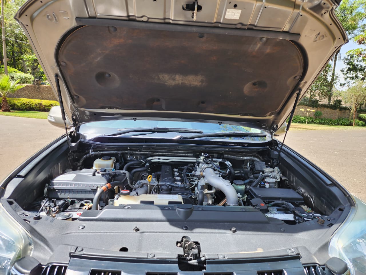 Toyota prado TXL