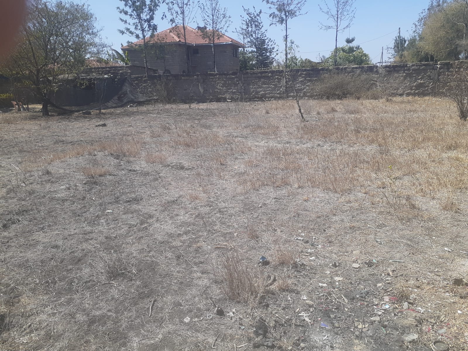 Land