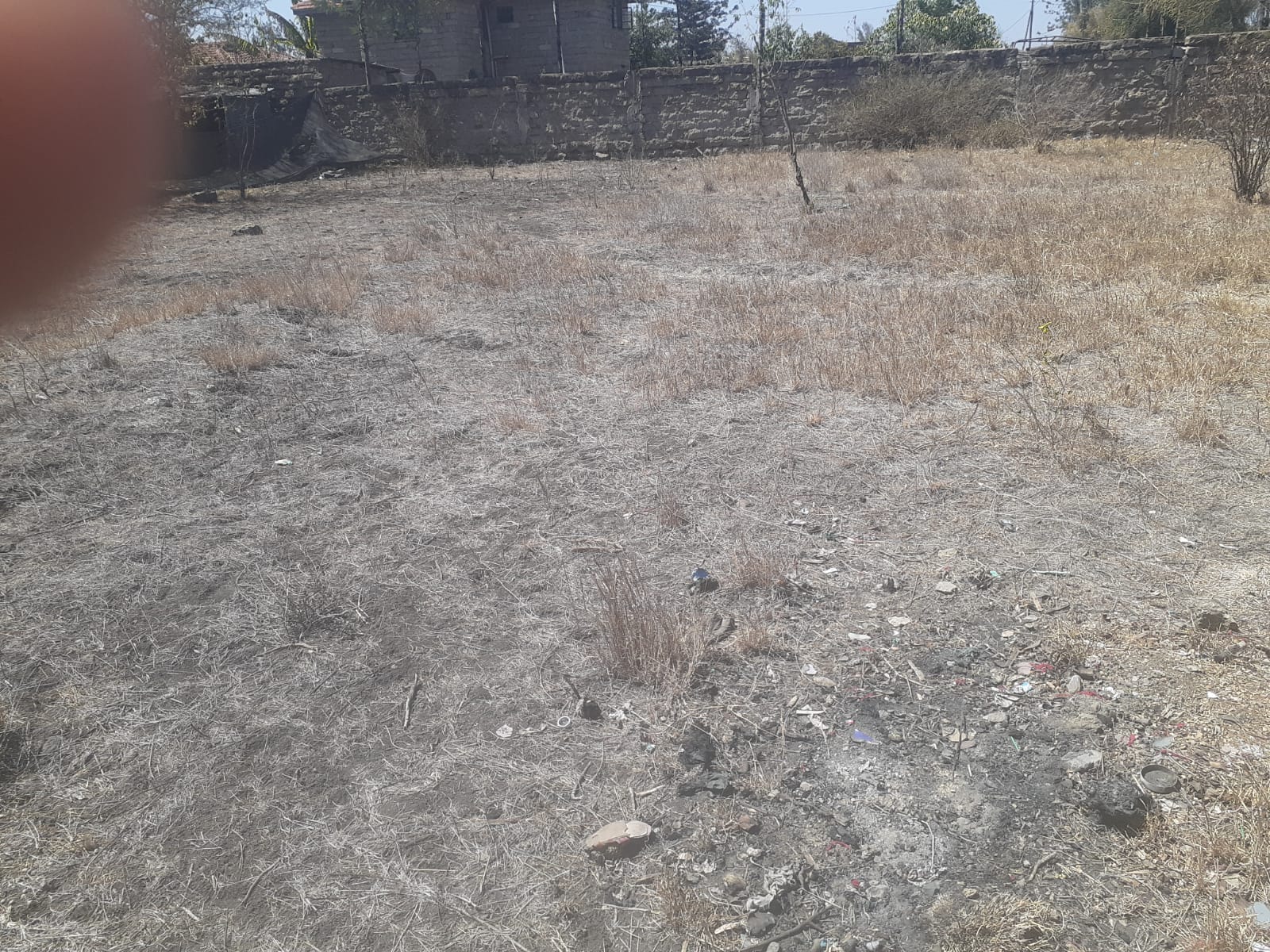 Land