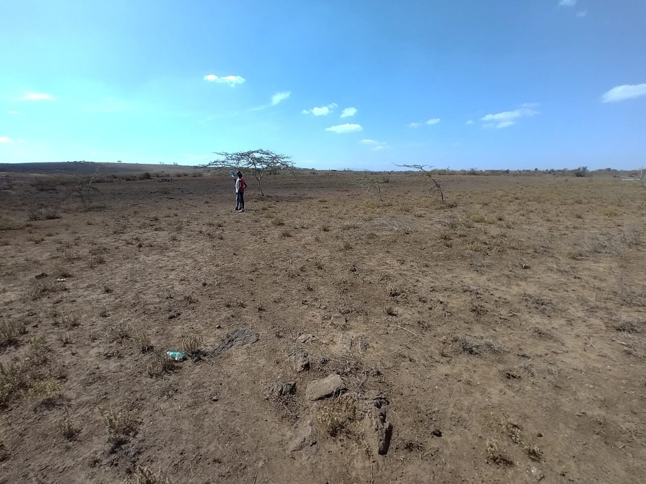 Land