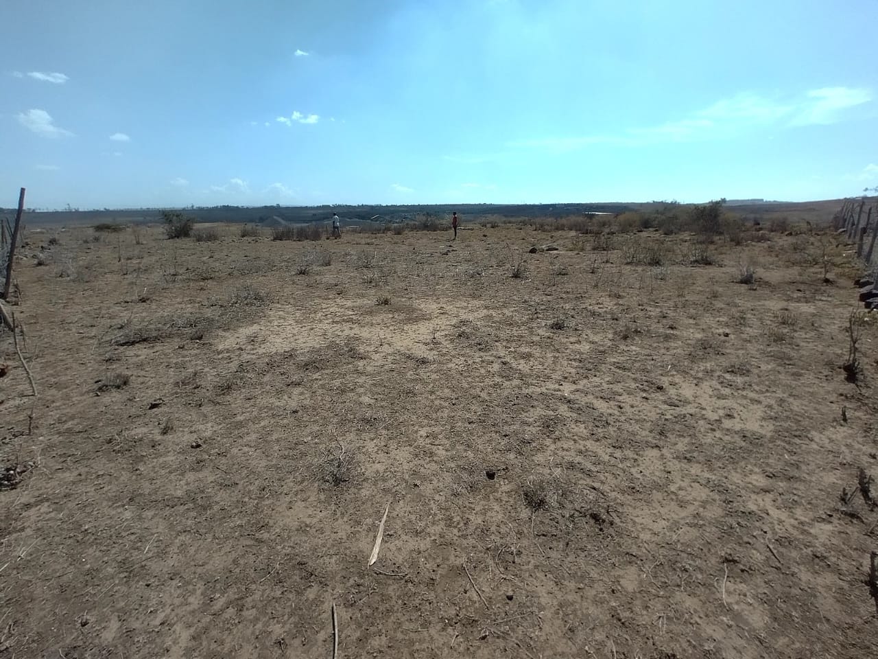 Land