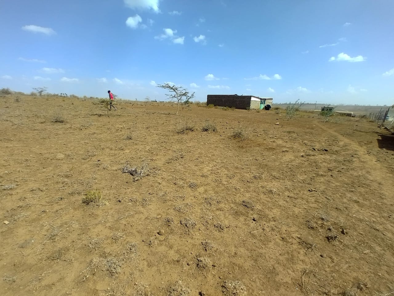 Land
