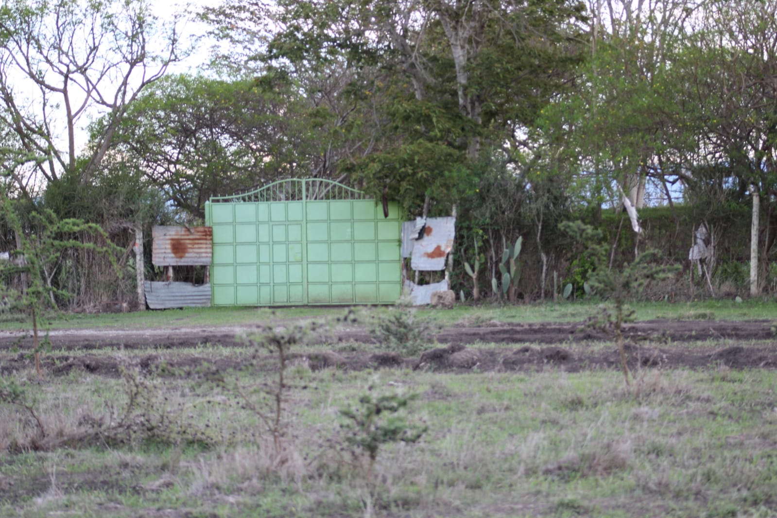 Property