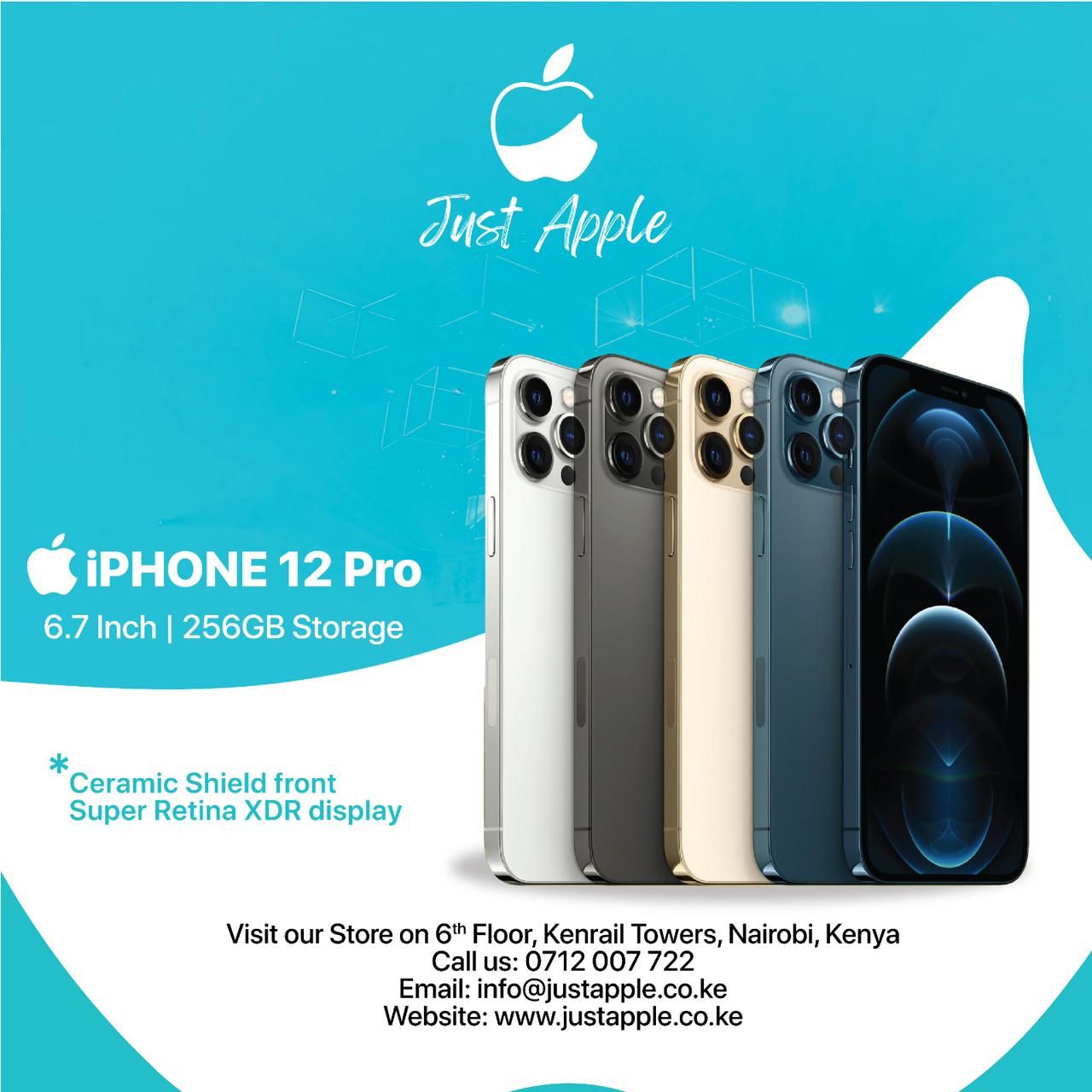Iphone repair service