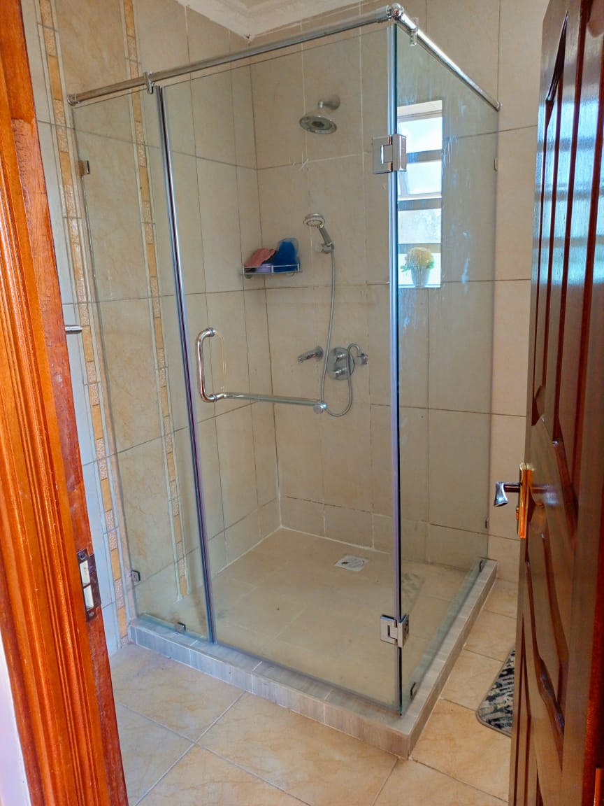 Frameless shower cubic
