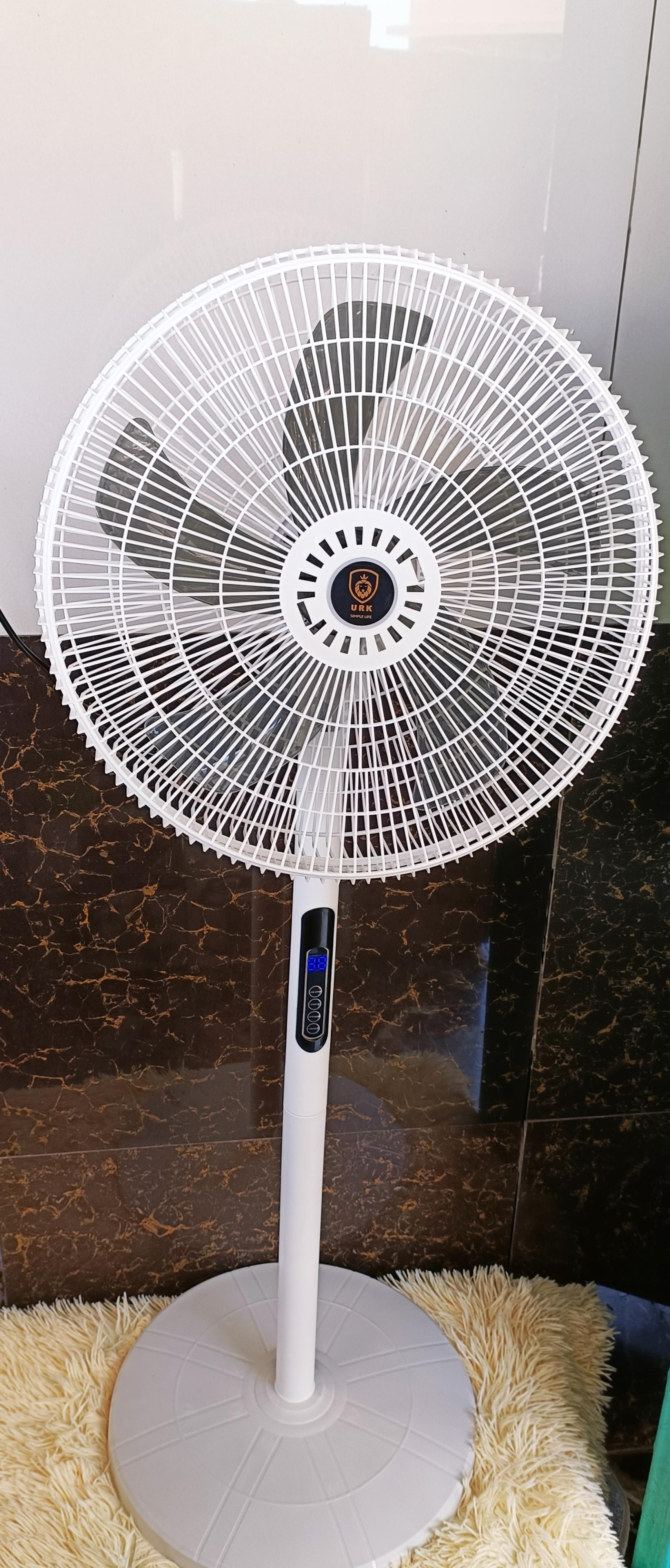Standing fan