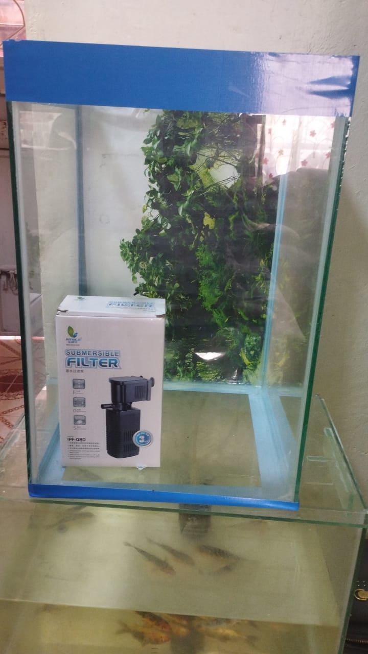 Aquarium