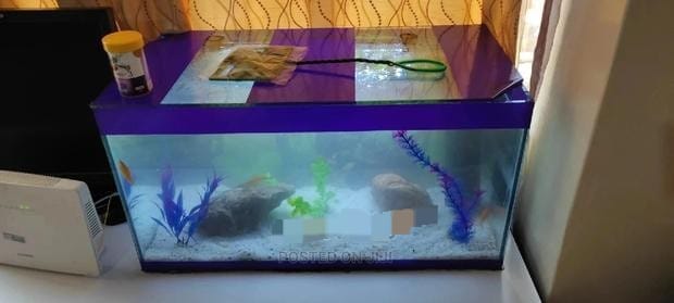 Aquarium