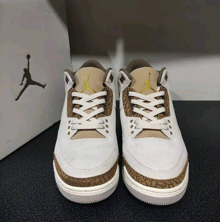 Jordan 3 x Cactus Jack 🌵