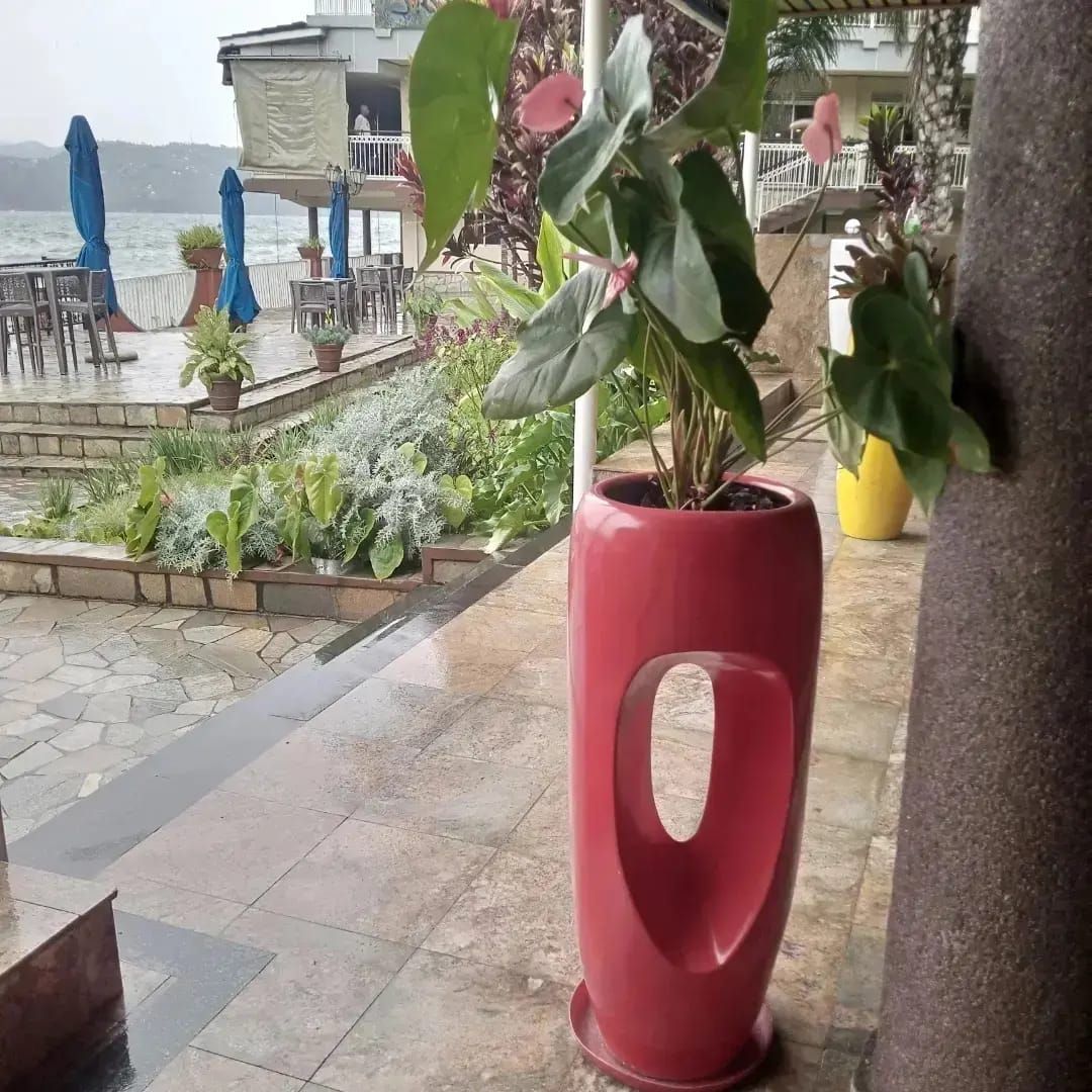 Ovail canna fibre pot