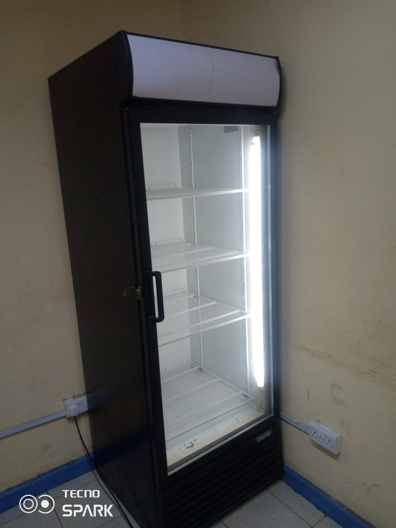 Display fridge 600l