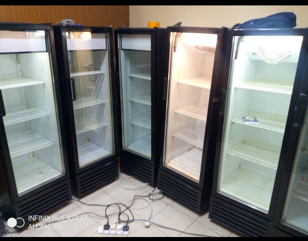 Display fridge 300l