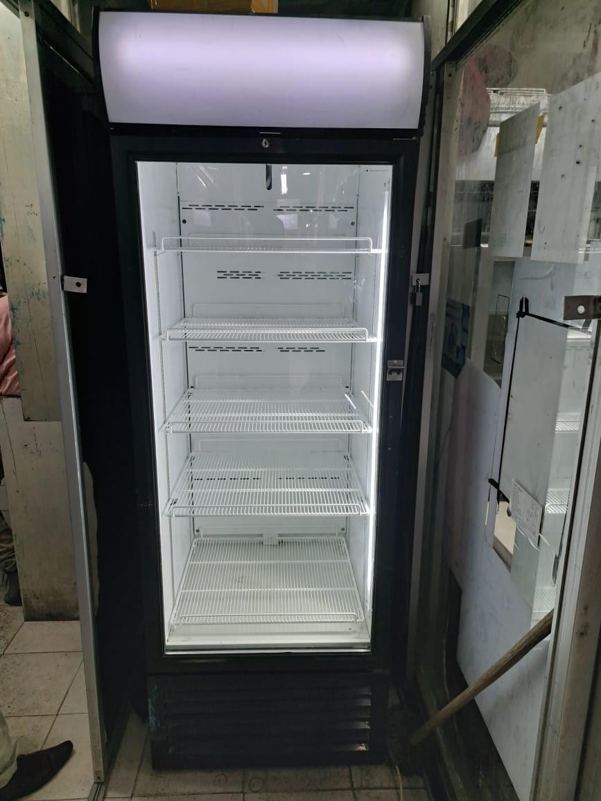 Display fridge 600l