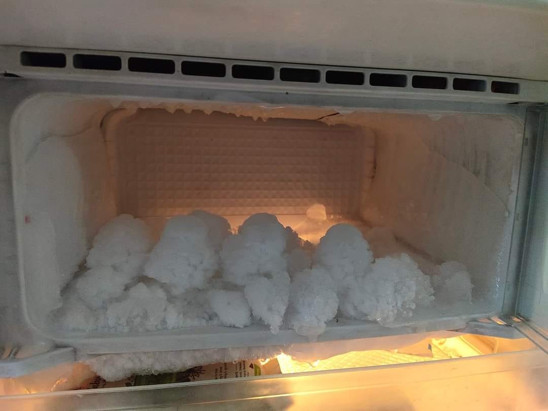 Fridge repair & cookers