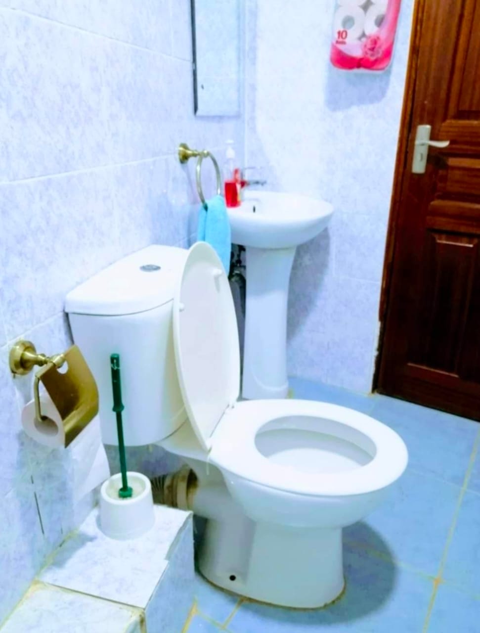 Executive Airbnb unit in Ruaka