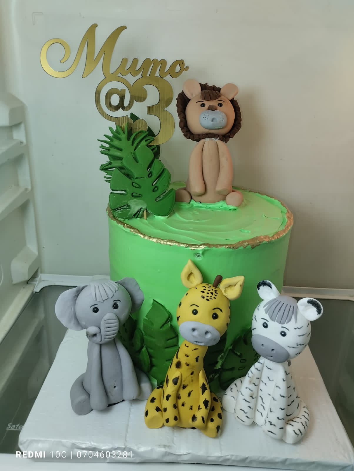 Aminated cartoon cake