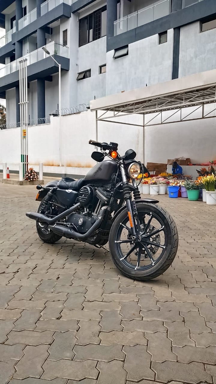 2016 Harley Davidson Iron 883 sportster