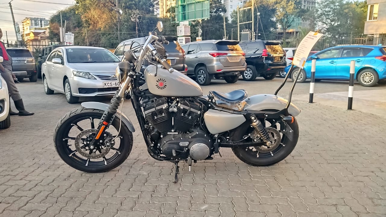 2019 Harley Davidson Iron 883 sportster