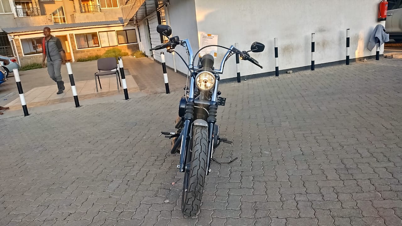 2019 Harley Davidson Iron 883 sportster