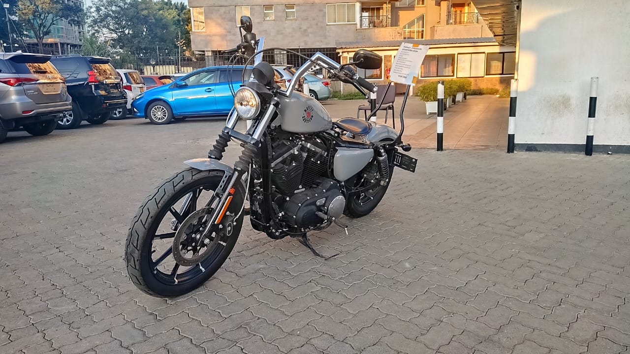 2019 Harley Davidson Iron 883 sportster