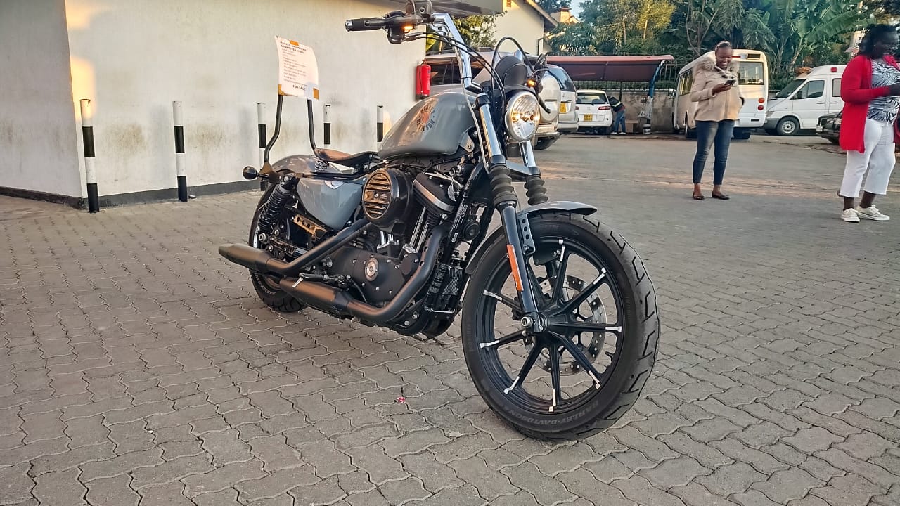 2019 Harley Davidson Iron 883 sportster