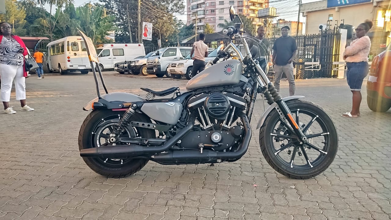 2019 Harley Davidson Iron 883 sportster